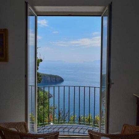 Il Giardino Selvatico Di Succellario - Apartments Barano d'Ischia Екстер'єр фото
