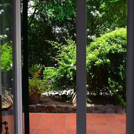 Il Giardino Selvatico Di Succellario - Apartments Barano d'Ischia Екстер'єр фото