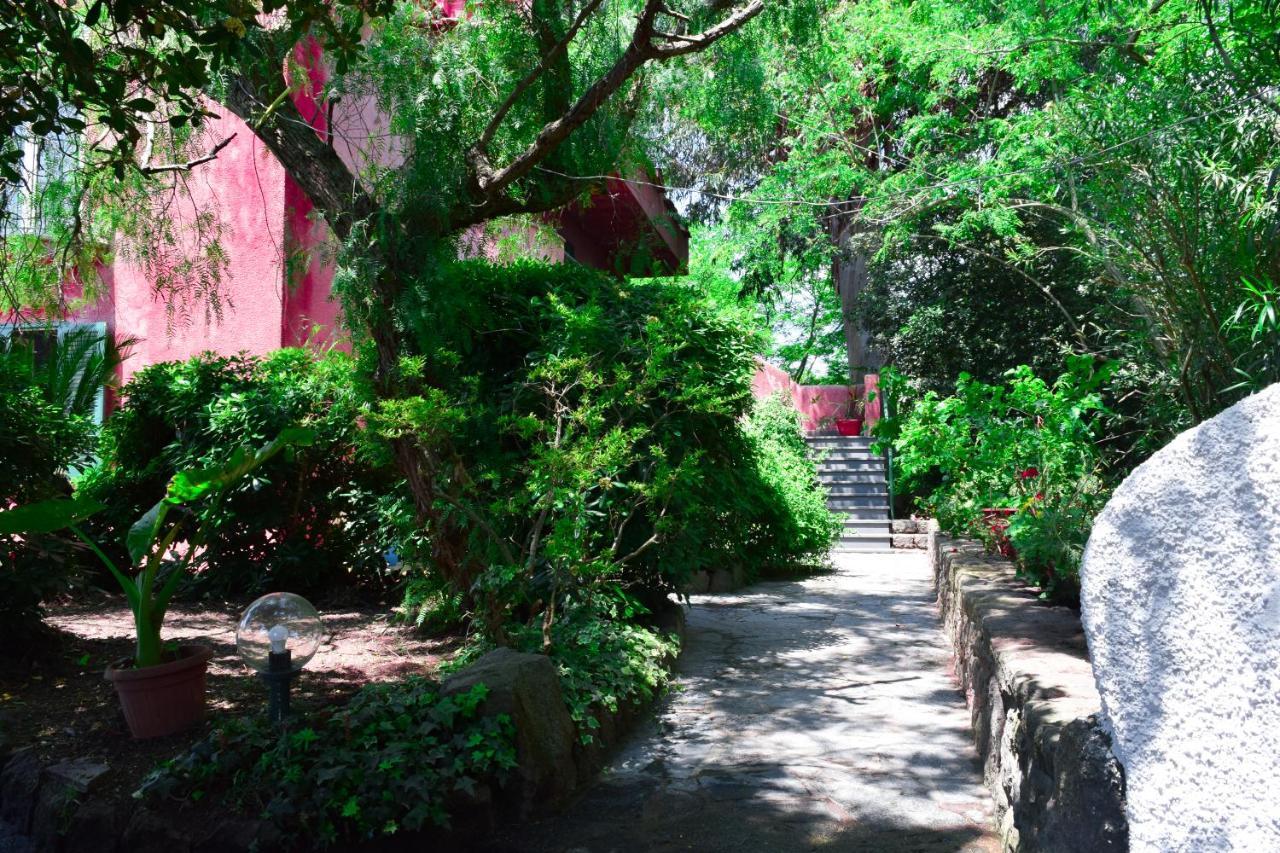 Il Giardino Selvatico Di Succellario - Apartments Barano d'Ischia Екстер'єр фото