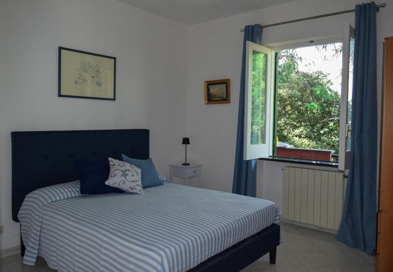 Il Giardino Selvatico Di Succellario - Apartments Barano d'Ischia Екстер'єр фото