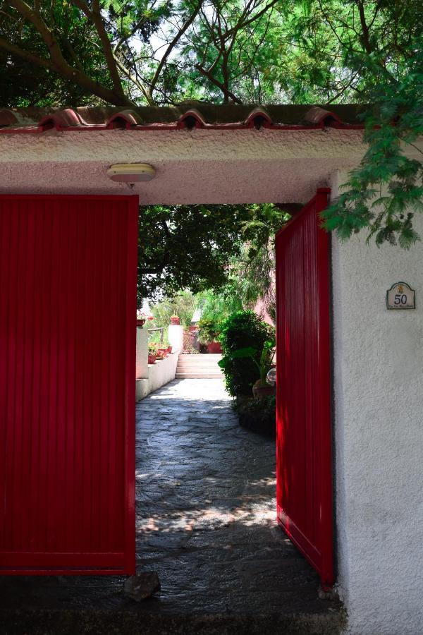 Il Giardino Selvatico Di Succellario - Apartments Barano d'Ischia Екстер'єр фото