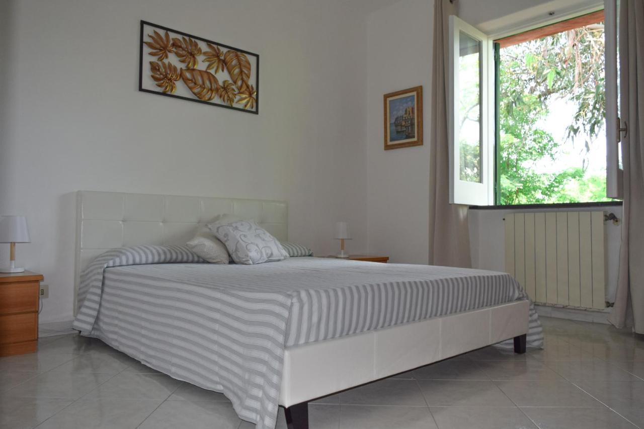 Il Giardino Selvatico Di Succellario - Apartments Barano d'Ischia Екстер'єр фото