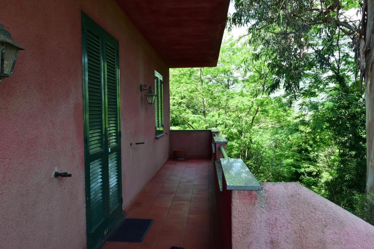 Il Giardino Selvatico Di Succellario - Apartments Barano d'Ischia Екстер'єр фото