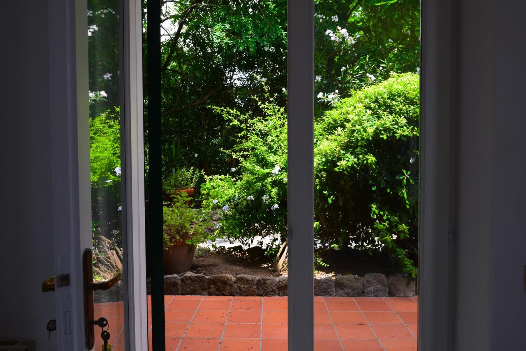 Il Giardino Selvatico Di Succellario - Apartments Barano d'Ischia Екстер'єр фото